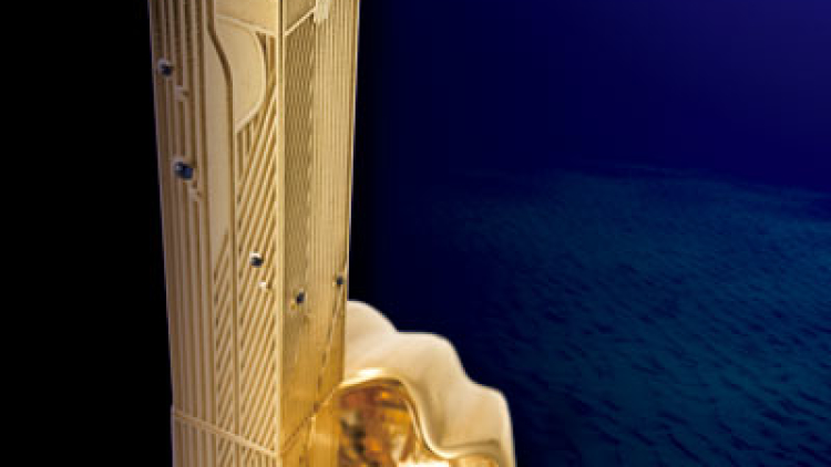 one piece luxury goods - main