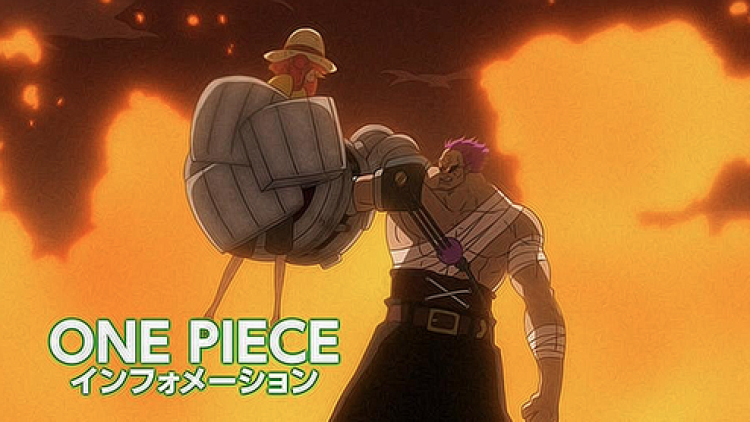 one-piece-z4 one-piece-z4