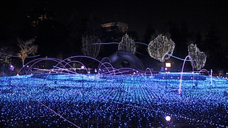 2013-12-03-Starlightsea 2013-12-03-Starlightsea