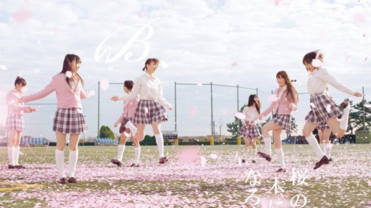 akb48 - sakura no ki ni narou - crop