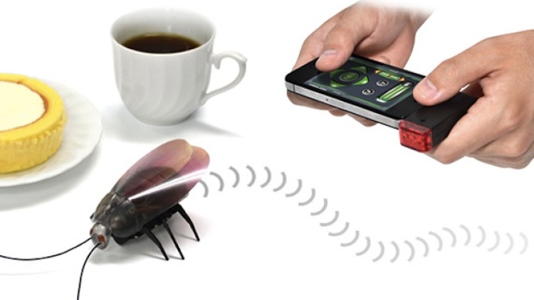 rc-gokiraji-ipad-iphone-remote-control-cockroach rc-gokiraji-ipad-iphone-remote-control-cockroach