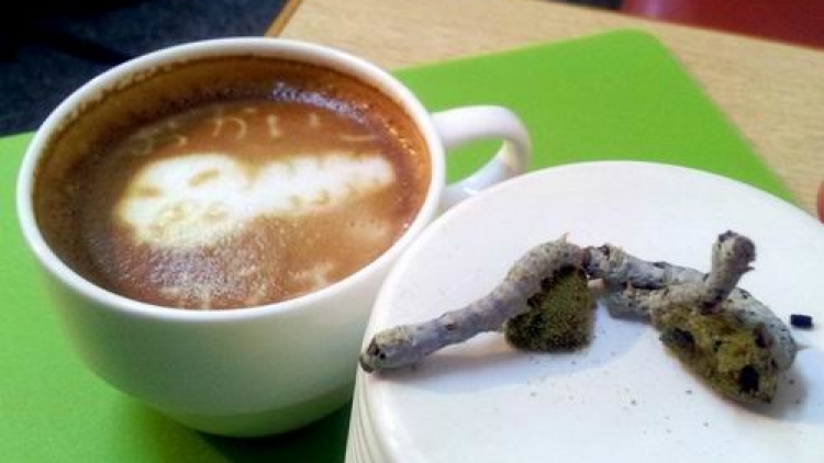 silkworm-cafe-japan