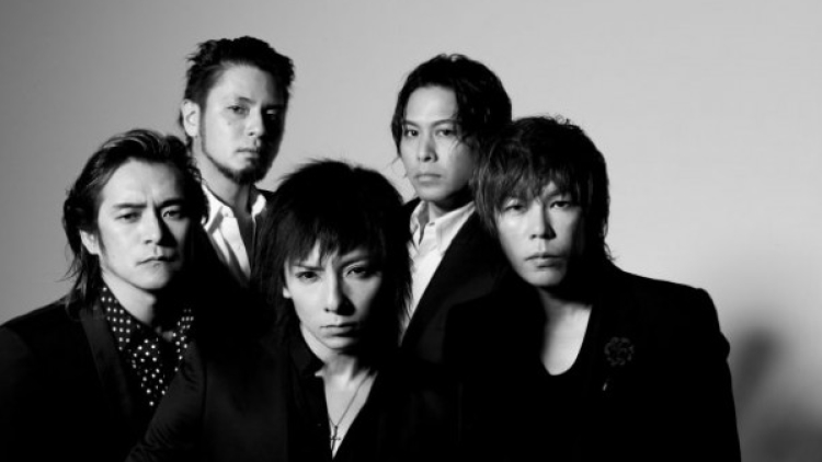 sophia-600x398 sophia-600x398