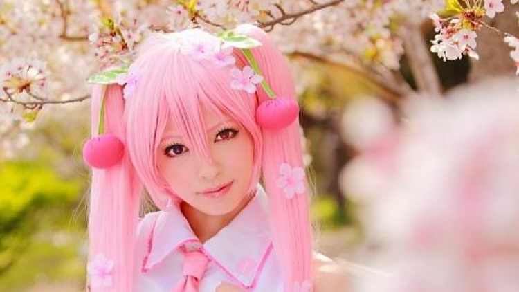 sakura-view-cosplayer-party-japan