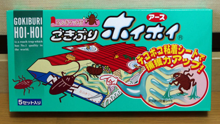 Gokiburi HOI HOI Gokiburi HOI HOI