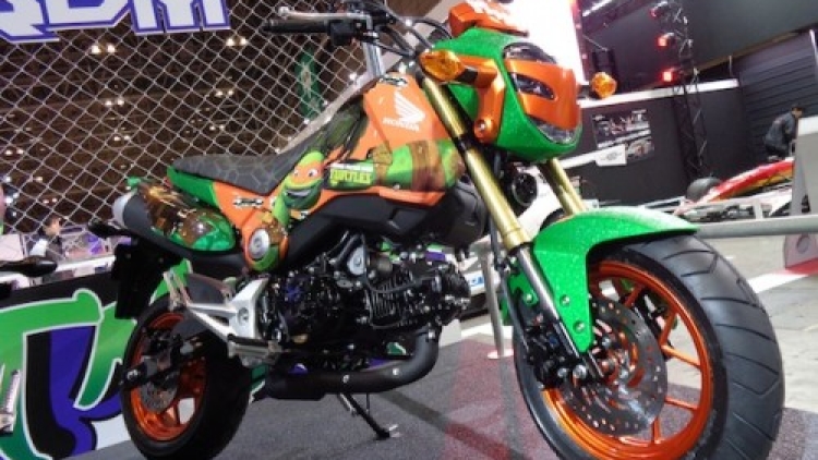 Ninja Turtles bike (1)