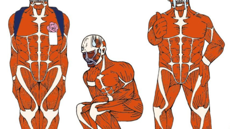 attackontitansillymerchandise attackontitansillymerchandise