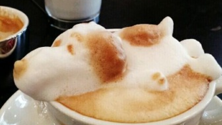 kazuki-yamamoto-13[1]