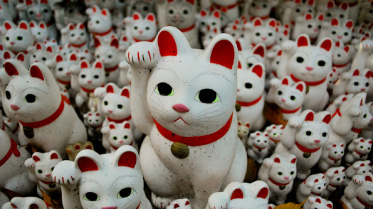 maneki2 maneki2