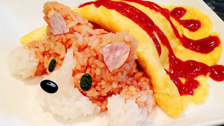 Animal Omelettes (1)