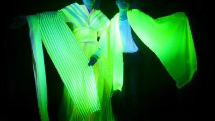silkwormfluorescent