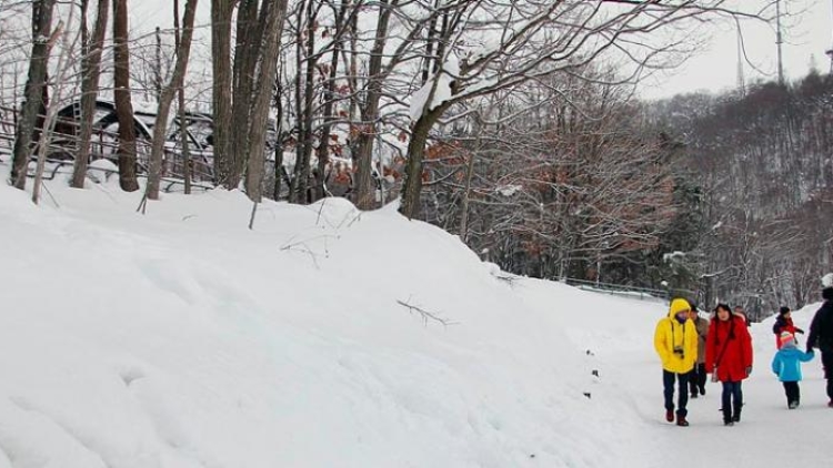 1810469saljuu780x390