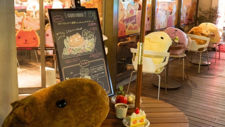 Capybara cafe japan (2) Capybara cafe japan (2)