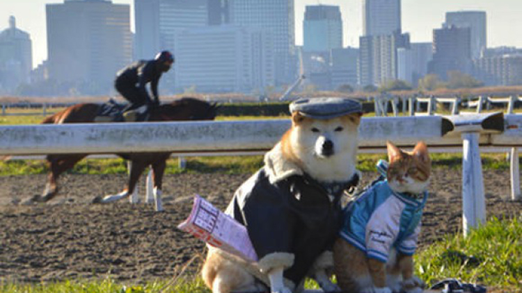 KikuchiyoTorajiro (2)