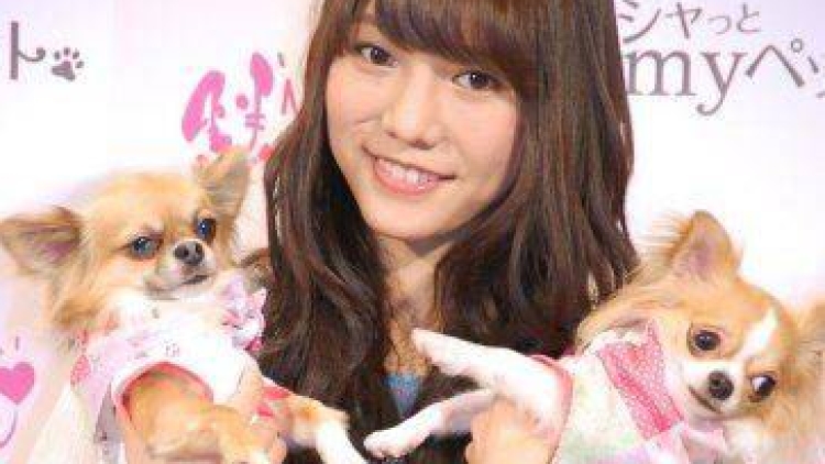 aki takajo pet fashion