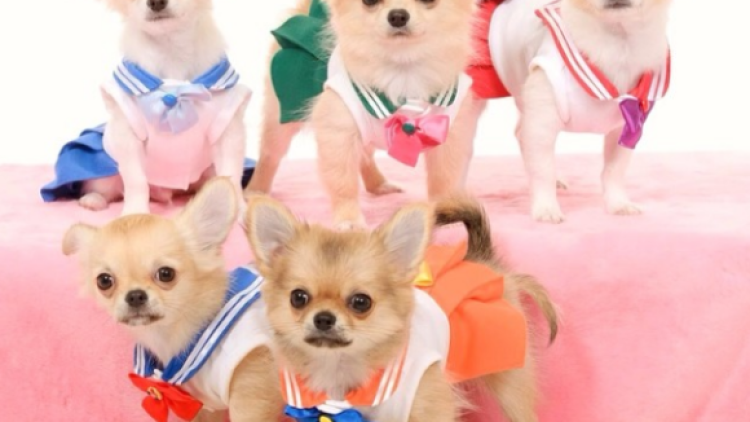 screen-shot-2014-03-12-at-9-27-45-am