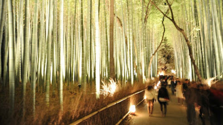 1383188_20121220072800