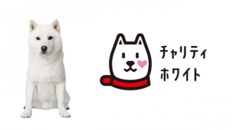 1404044-560x315 1404044-560x315