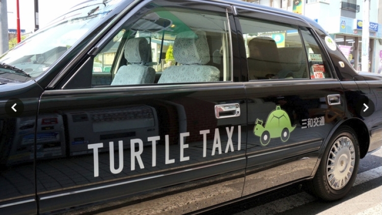 Turtle Taxi (1)