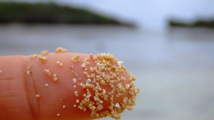 hoshizuna-no-hama-5[6]