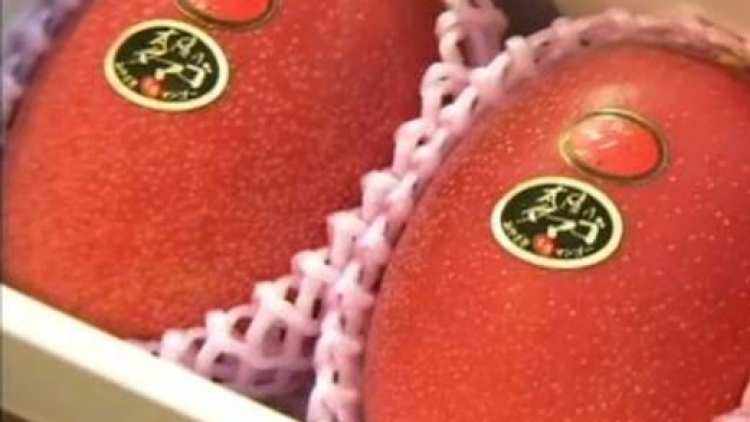 miyazakimago miyazakimago