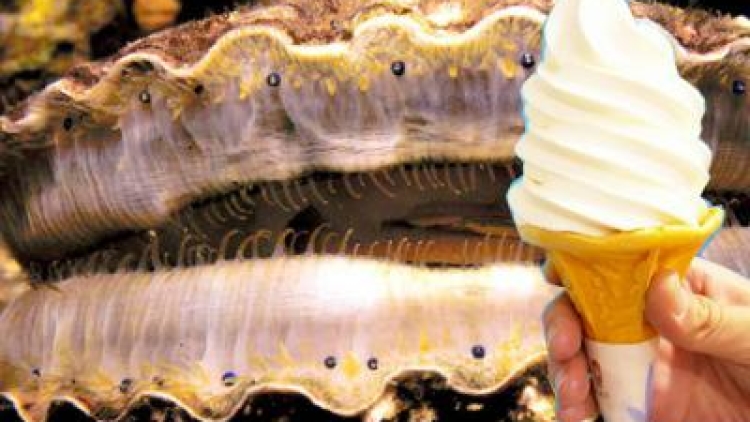 eskrimkerang (1) eskrimkerang (1)