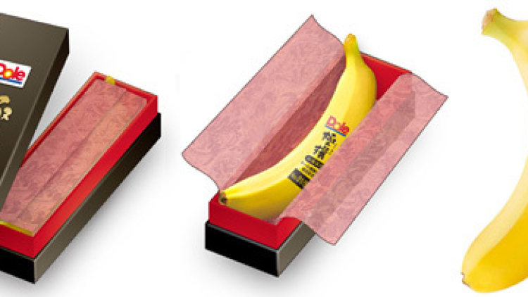 gokusendole (2) gokusendole (2)