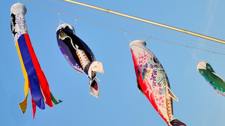 koinobori-kasai-rinkai koinobori-kasai-rinkai