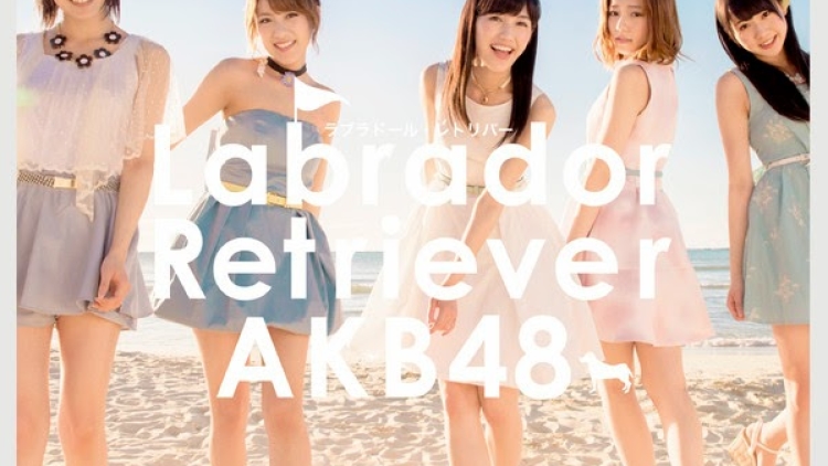 labradorretriever labradorretriever