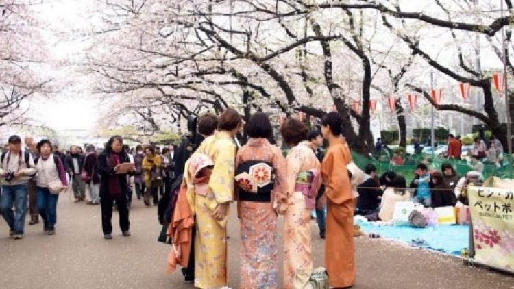 menikmati-bunga-sakura-di-taman-ueno-_140509195359-981