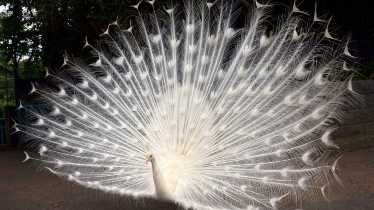 ??????????????????????????????????????????????????????????????????????????????????????????????????????????????????????????????????????????????????????????????????????????????????????????????????????????????????????