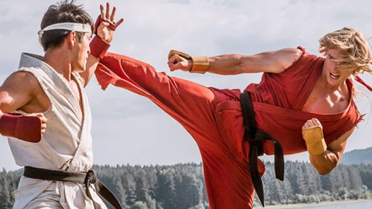 stritfaiter-assassins-fist