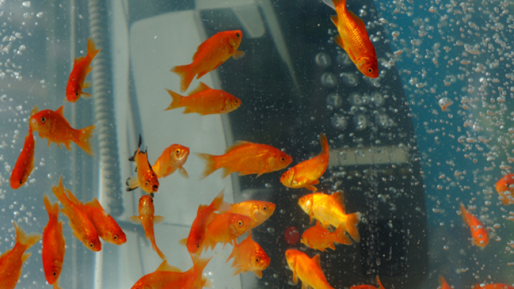 tumblr_maazclgQm71qaa2vho4_1280 tumblr_maazclgQm71qaa2vho4_1280