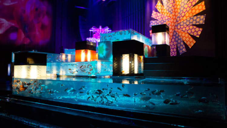 art aquarium (2) art aquarium (2)