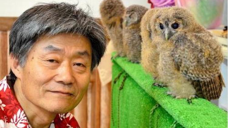 fukuronomori fukuronomori