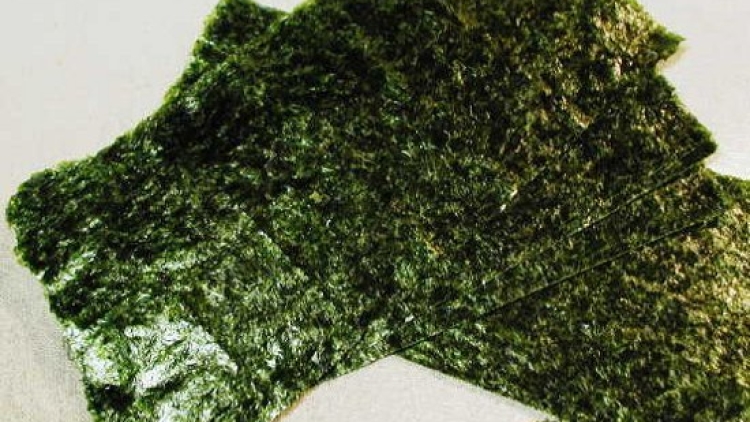 nori nori