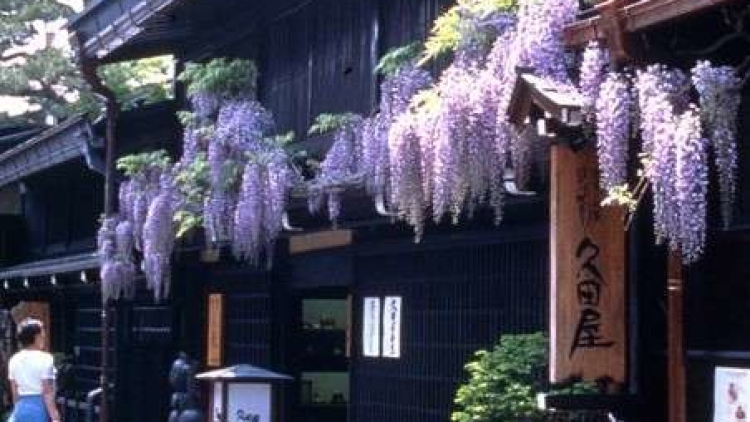 takayama1 (1) takayama1 (1)