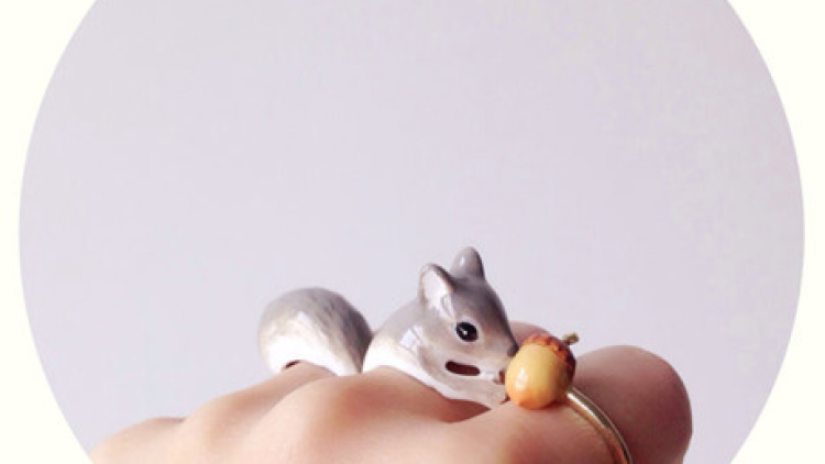 animal accesories (1) animal accesories (1)