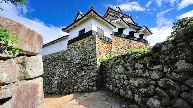 hikone-castle-walls-big hikone-castle-walls-big