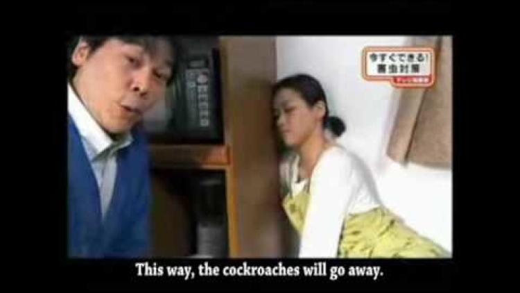 japan tv show subtitle