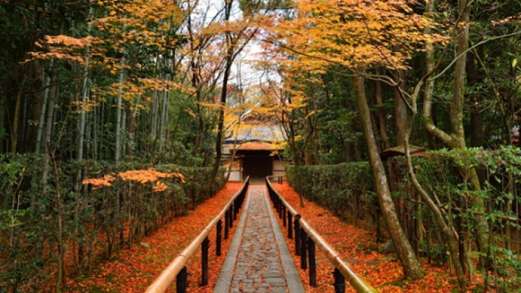 kyoto destination (1)