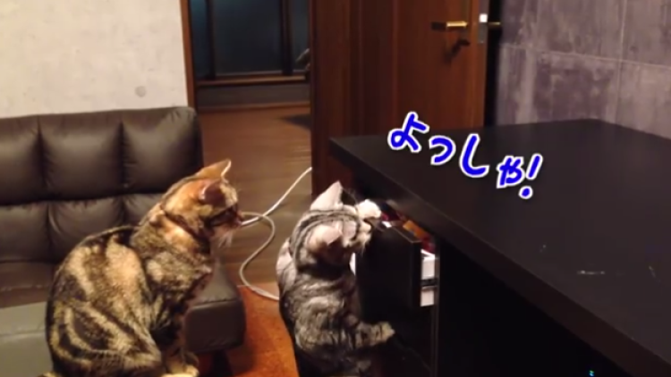 screen-shot-2014-07-04-at-11-24-43-am