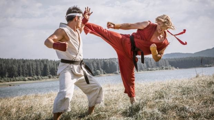 sfjaryukenfight sfjaryukenfight