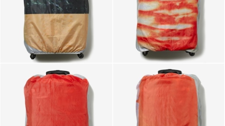 sushi-suitcase-cover-1 (1)
