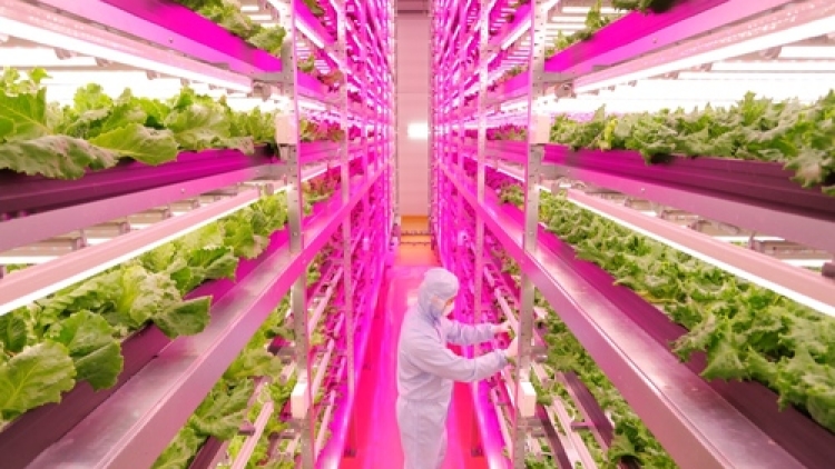 tumblr_inline_n8ga07E0Jy1qzgziy