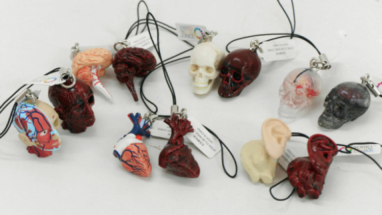 body parts strap (1)