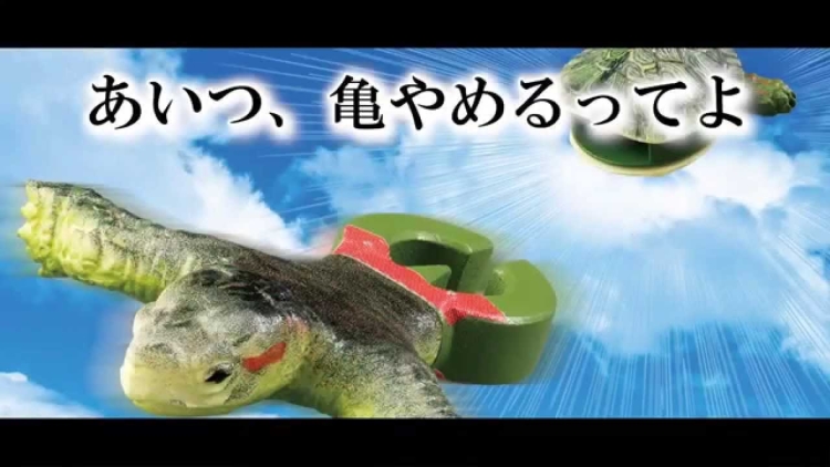 kame turtle bandai