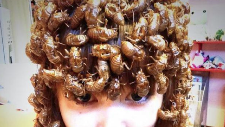 shoko nakagawa bug hair (1)