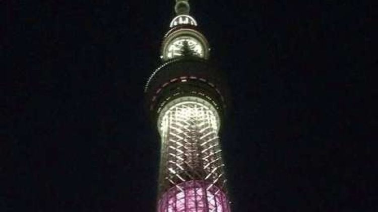 tokyo skytree pink (1)
