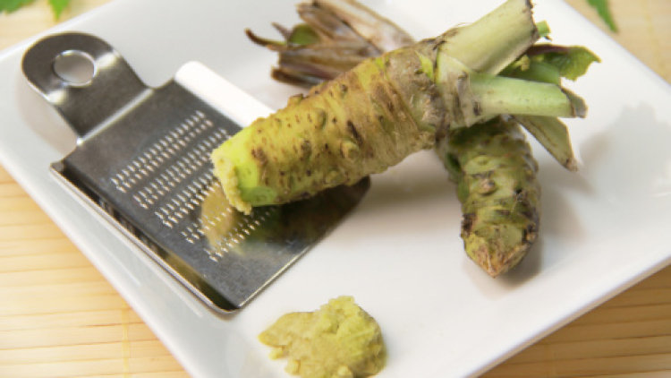 wasabidalam wasabidalam